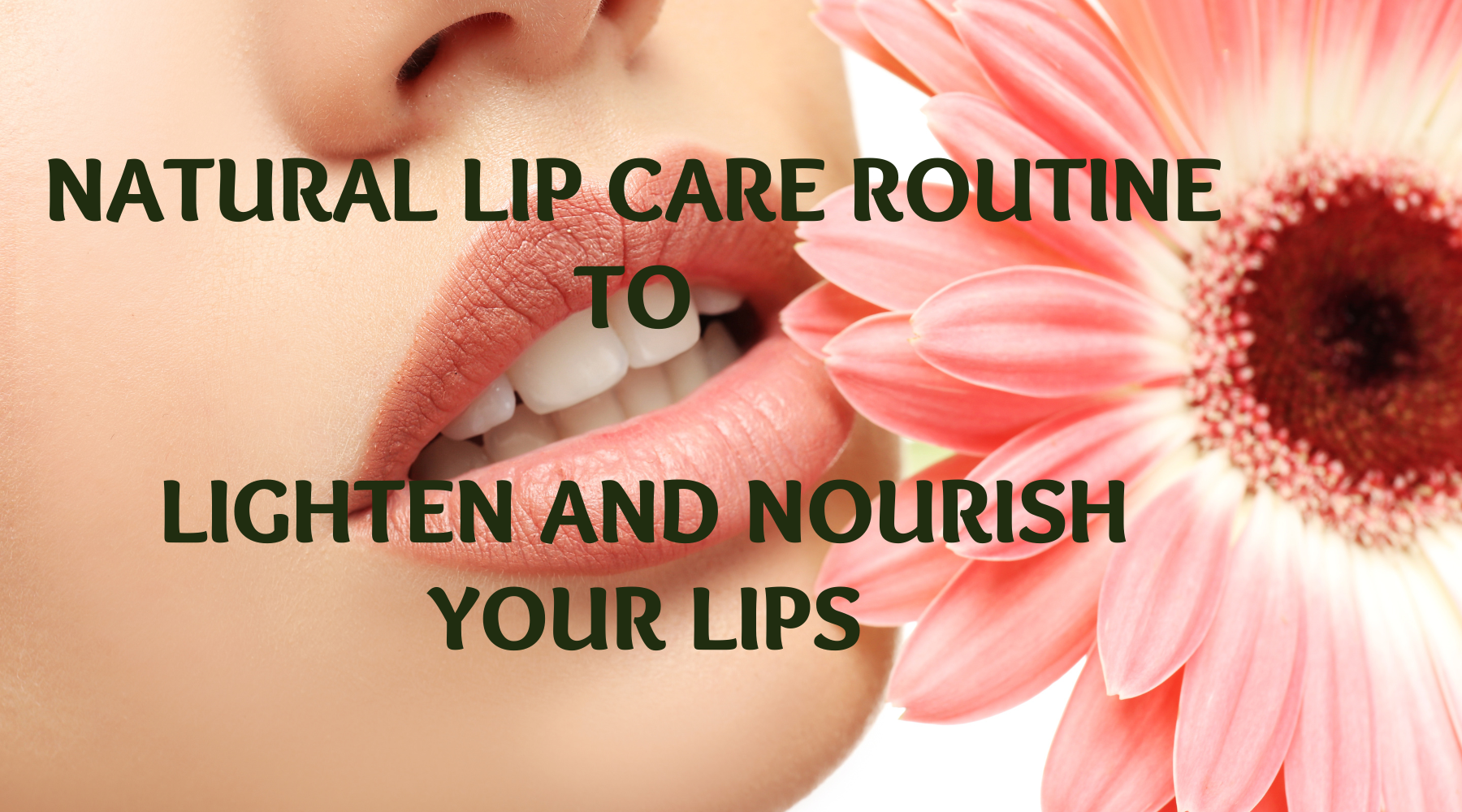 Natural Lip care routine to Lighten and Nourish your lips